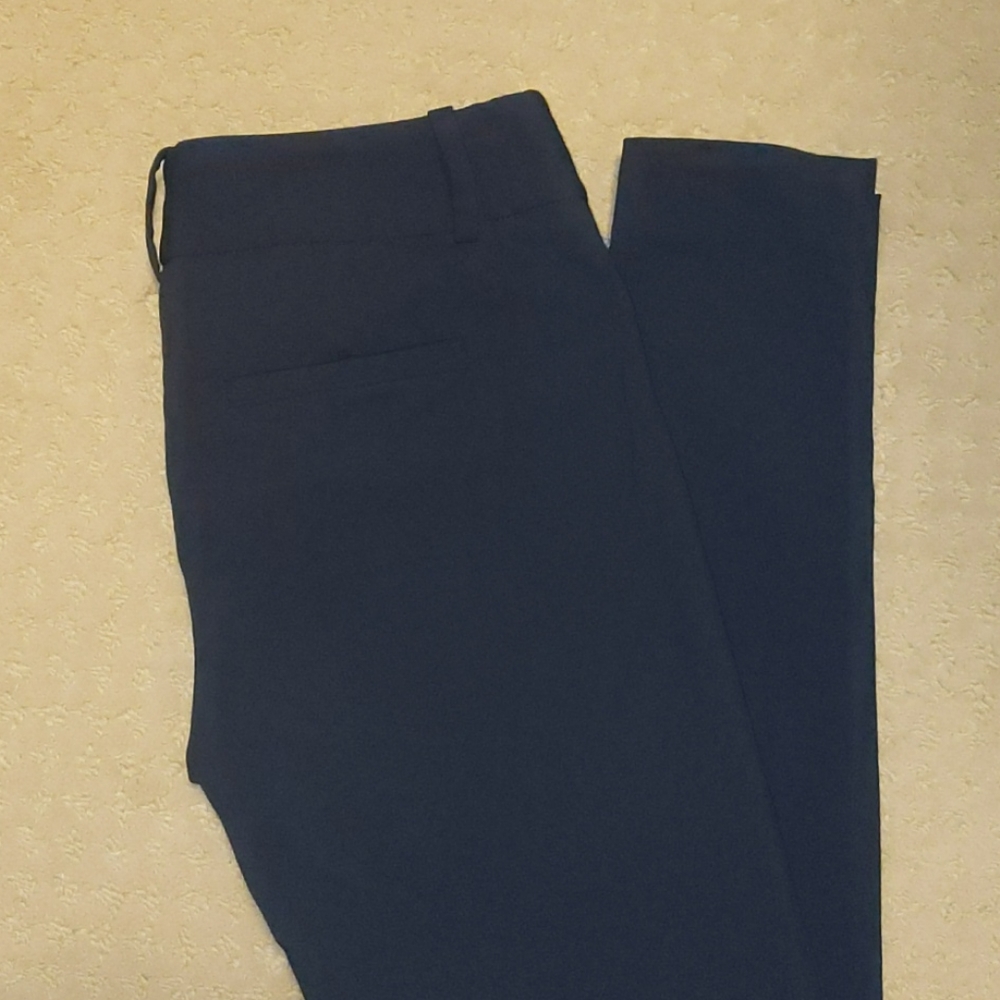 The Limited Exact Stretch Pants